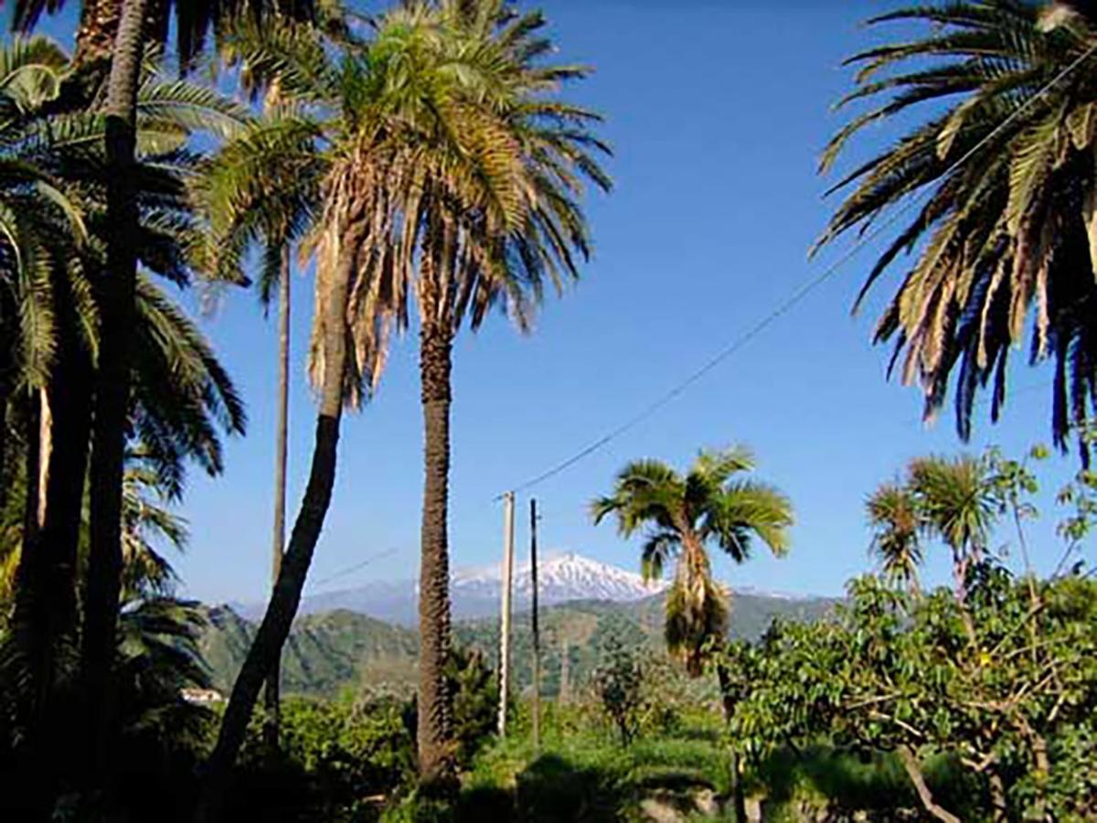 Villa Casa Della Zagara Trappitello Exterior photo